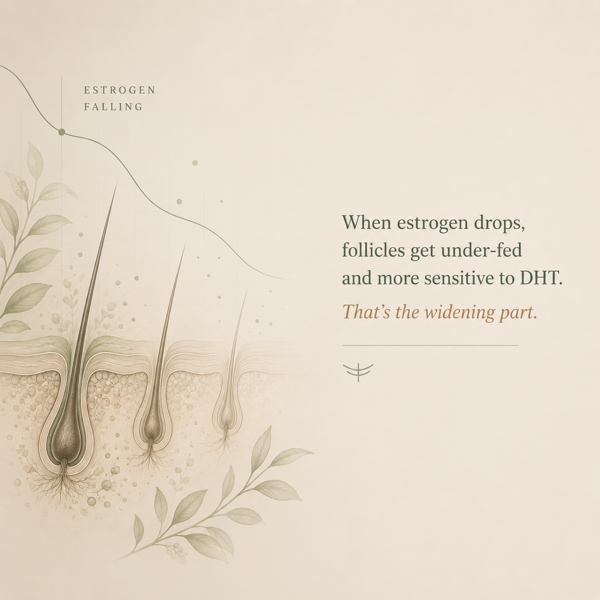 Hair, Skin & Nails | Menopause Support Complex